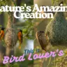 A Beautiful Bird Building Its Nest – Nature’s Amazing Creation