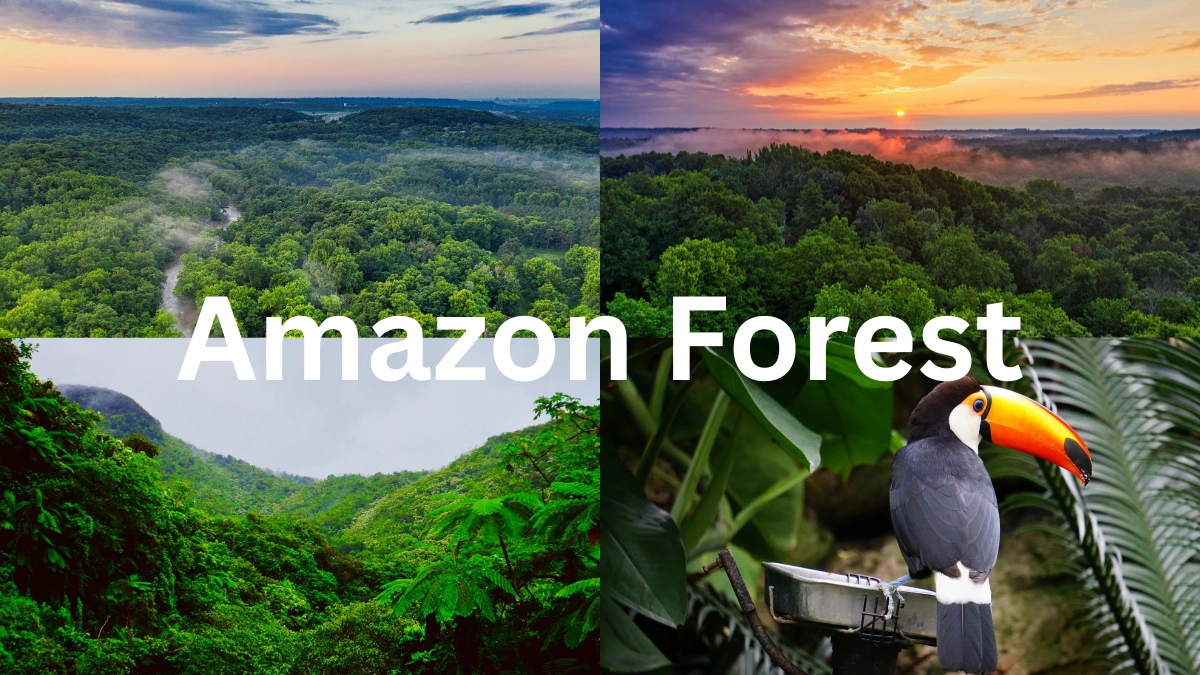 Biodiversity and Nature Conservation