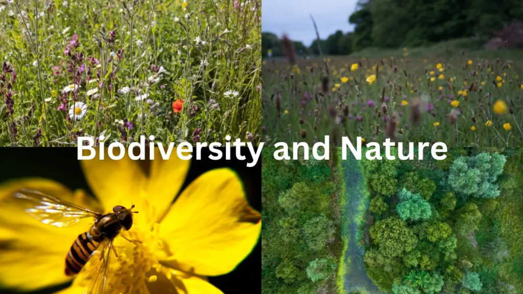 Biodiversity and Nature Conservation