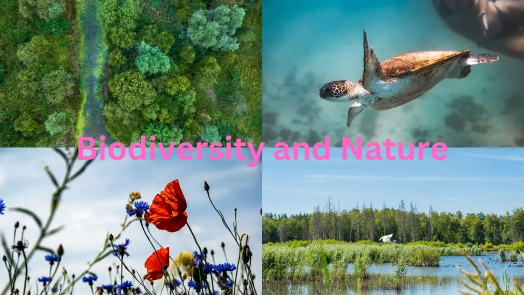 Biodiversity and Nature Conservation