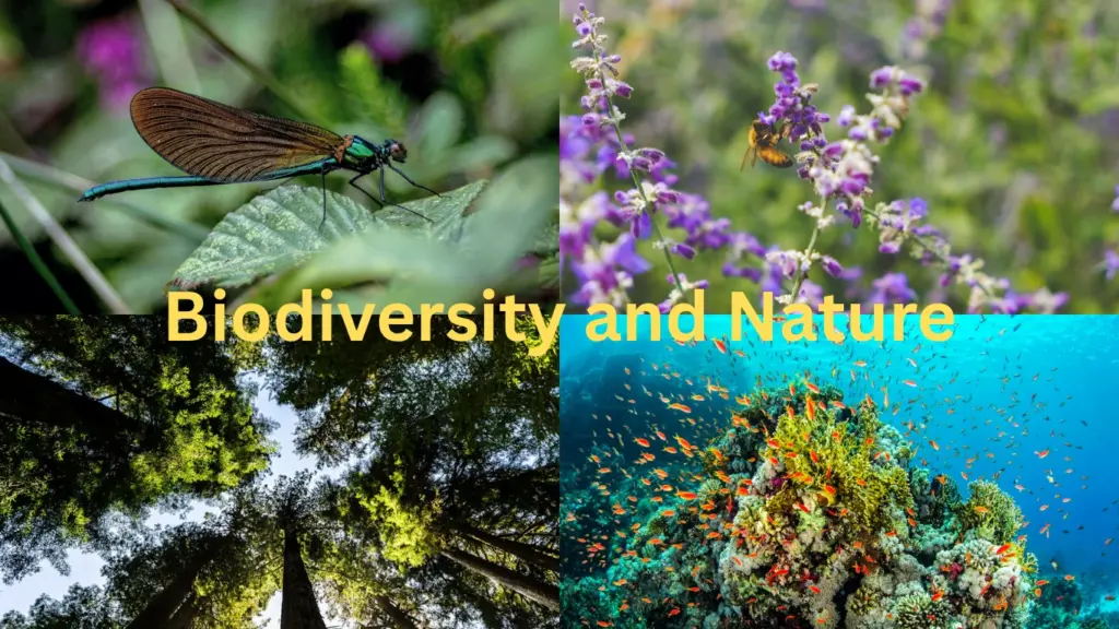 Biodiversity and Nature Conservation
