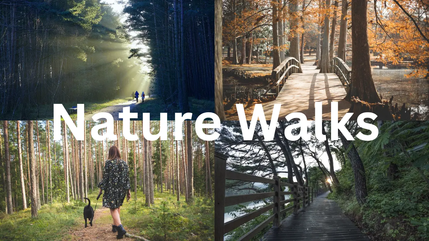 Discover Nature Walks and Outdoor Activities for Effective Nature Study and Eco Learning