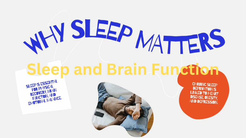 Sleep and Brain Function