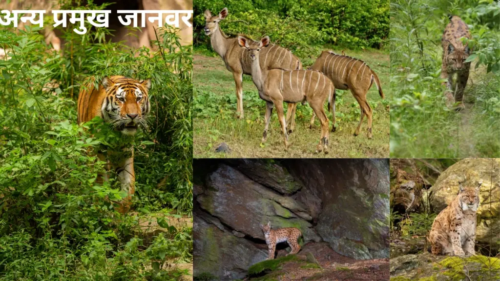 अन्य प्रमुख जानवर- Other Major Animals
