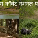 जिम कॉर्बेट नेशनल पार्क