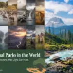 National Park- Top 10 National Park