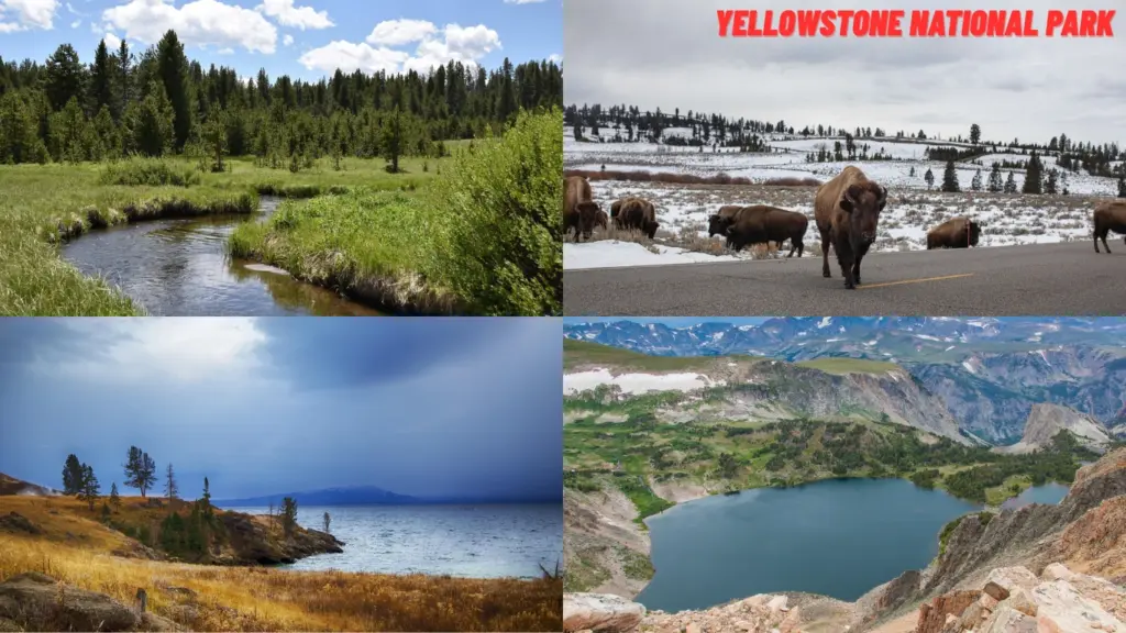 Yellowstone National Park USA